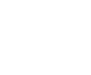 Evolution games at Crazy Fox Casino